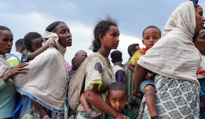 UN halts food aid in Ethiopia